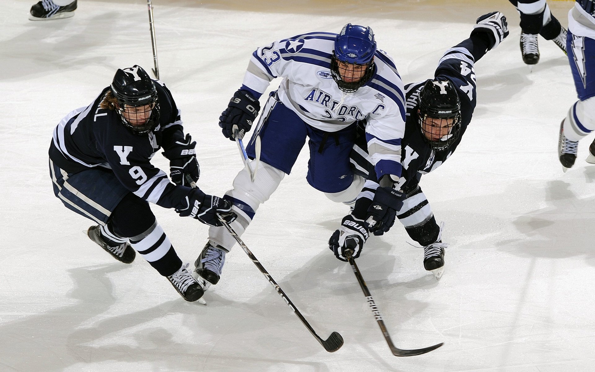 开云体育中国-戈贝尔统治末节！国王逆转凯尔特人，法国铁塔成定海神针